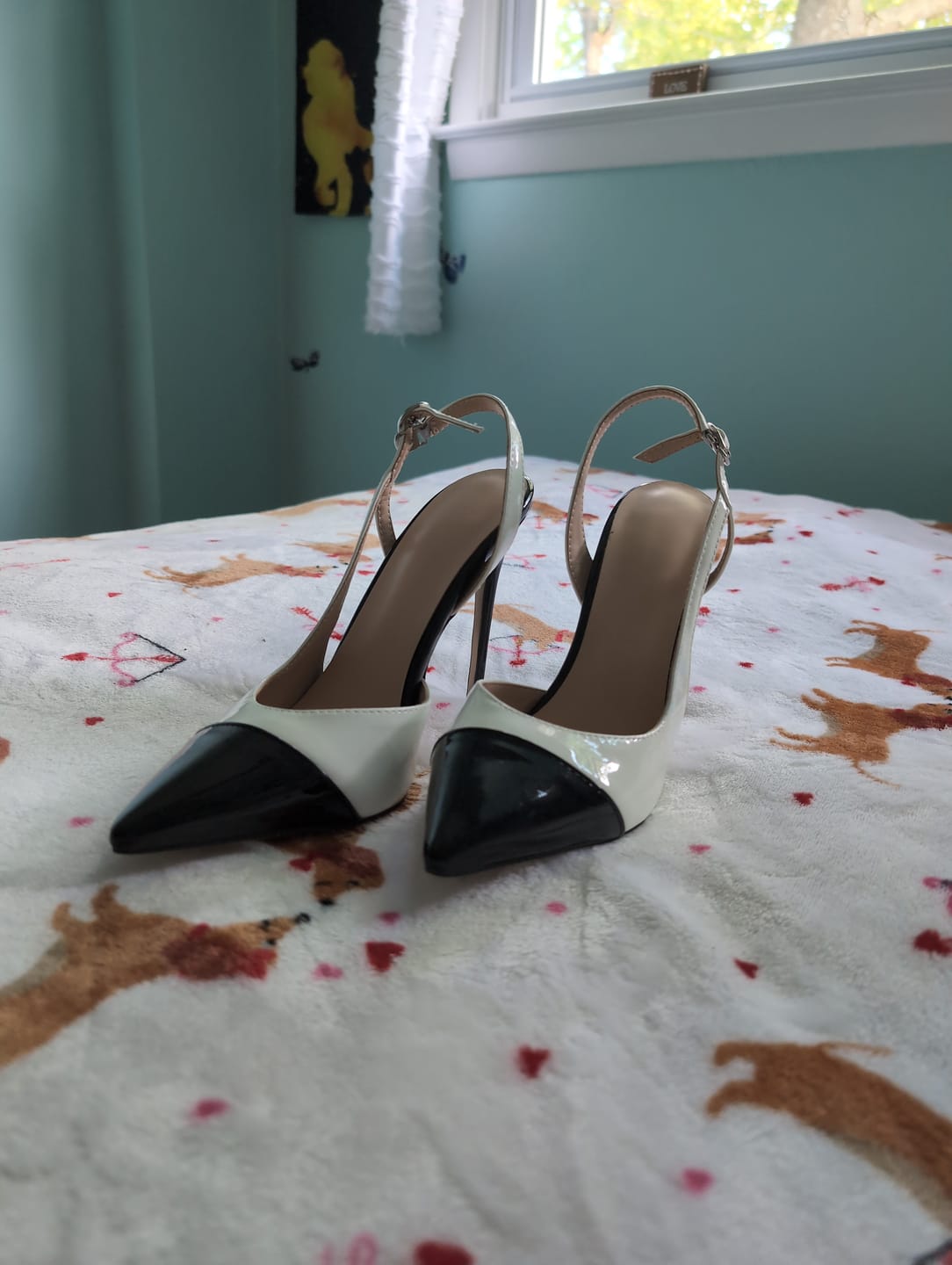 Customer photo review of Talons de Princesse & Vilain (Best sellers)