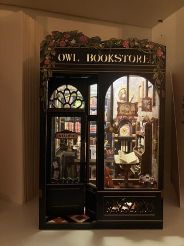 Customer photo review of DIY Book Nook kit - Owl Bookstore