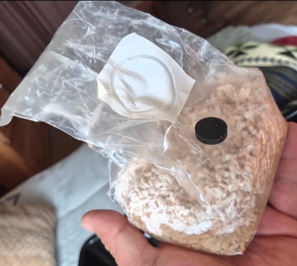 Customer photo review of Ayekan Box