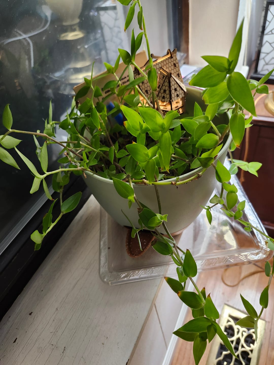 Customer photo review of Garden Vista