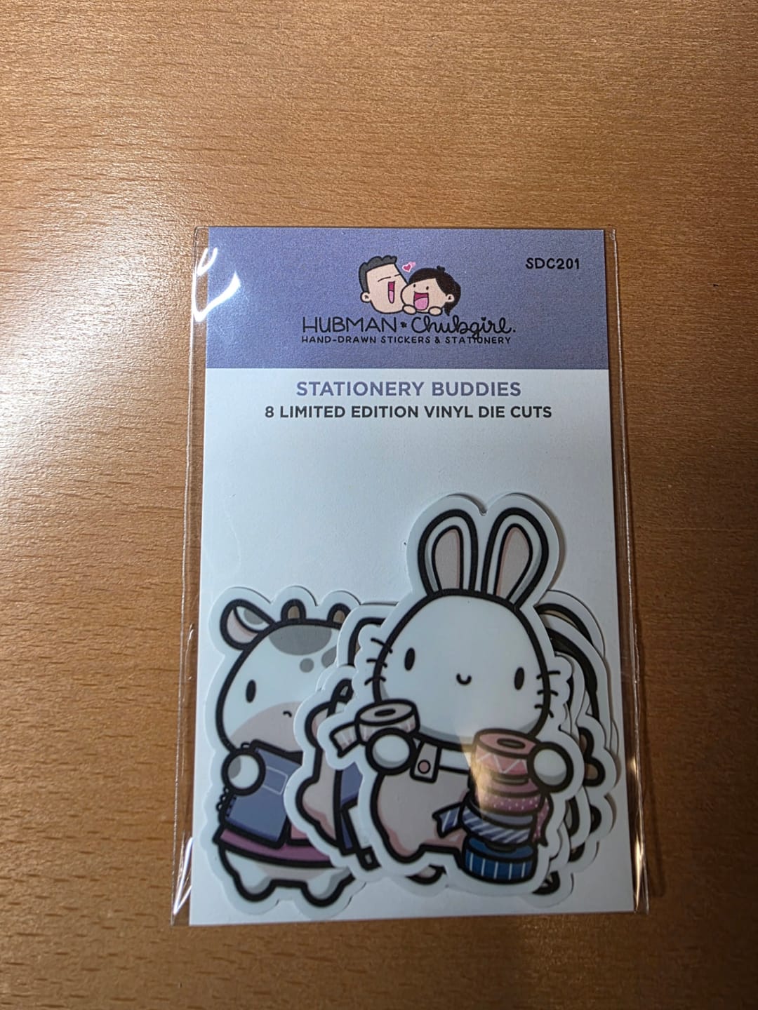 Customer photo review of Stationery Buddies Die Cut Stickers