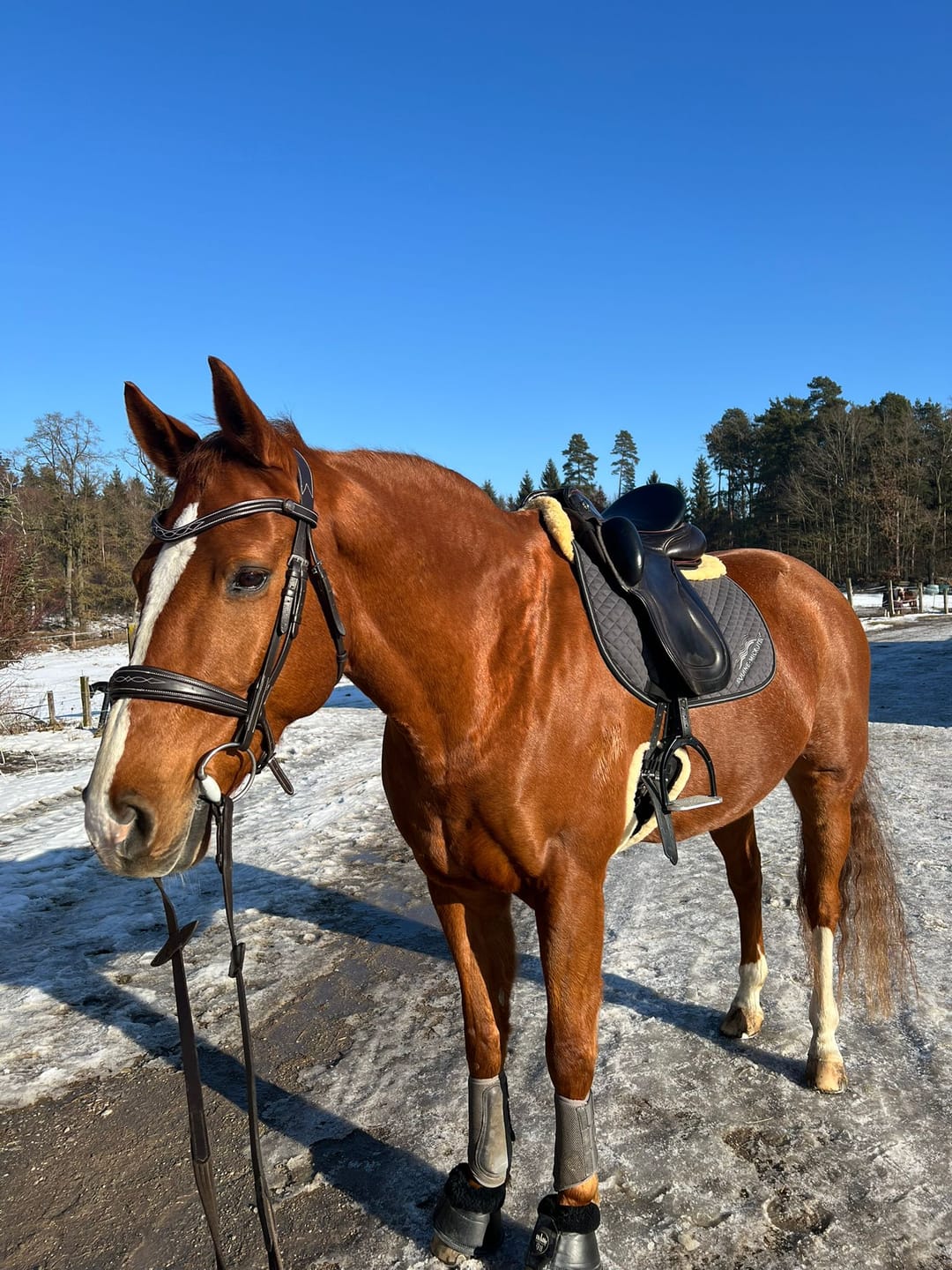 Customer photo review of Kristallkraft Coolly