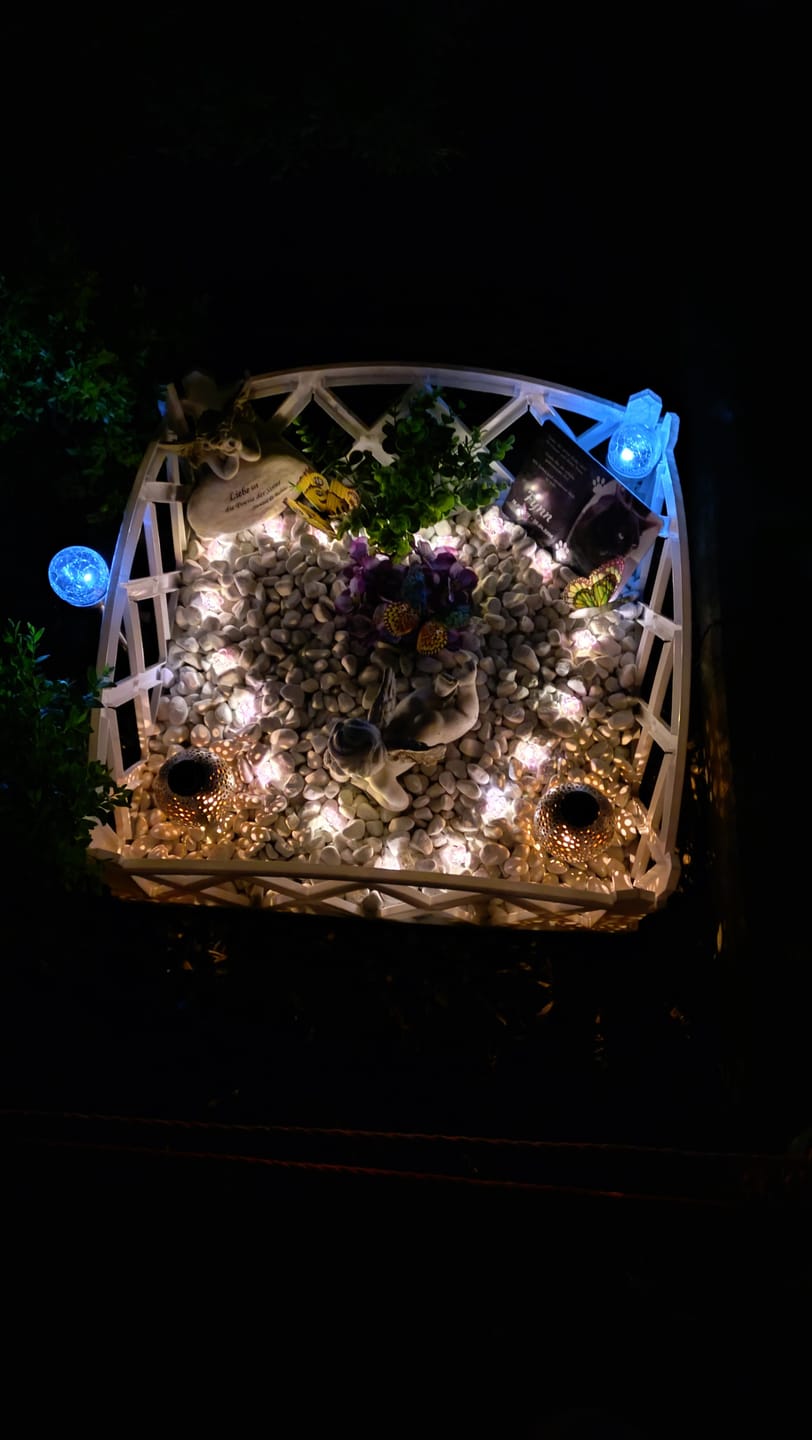Customer photo review of Katzen Gedenktafel mit Foto & Spruch (UV- & Wetterfest)