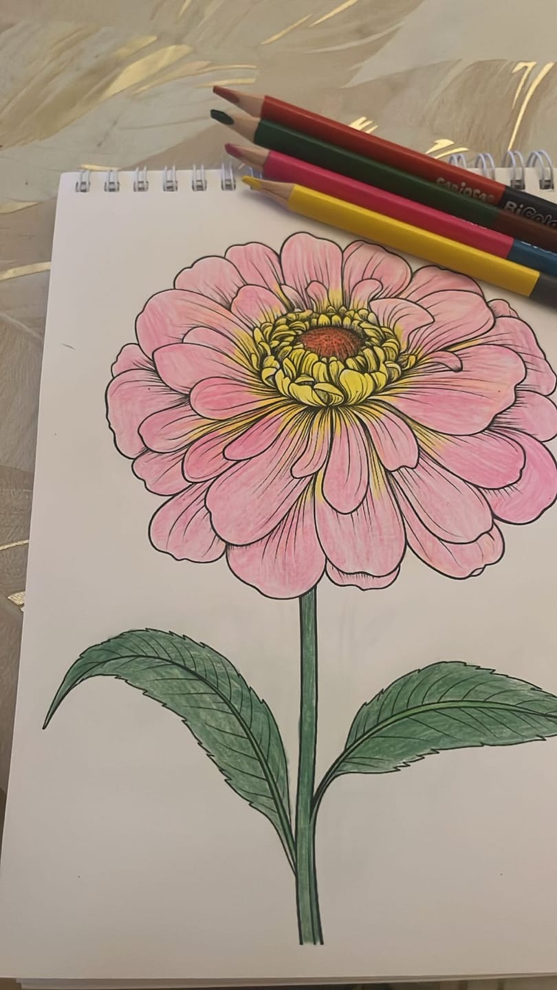 Customer photo review of ✨ Pack Coloriage Nomade ⭐ 3 Mini livres + crayons de couleurs🔥