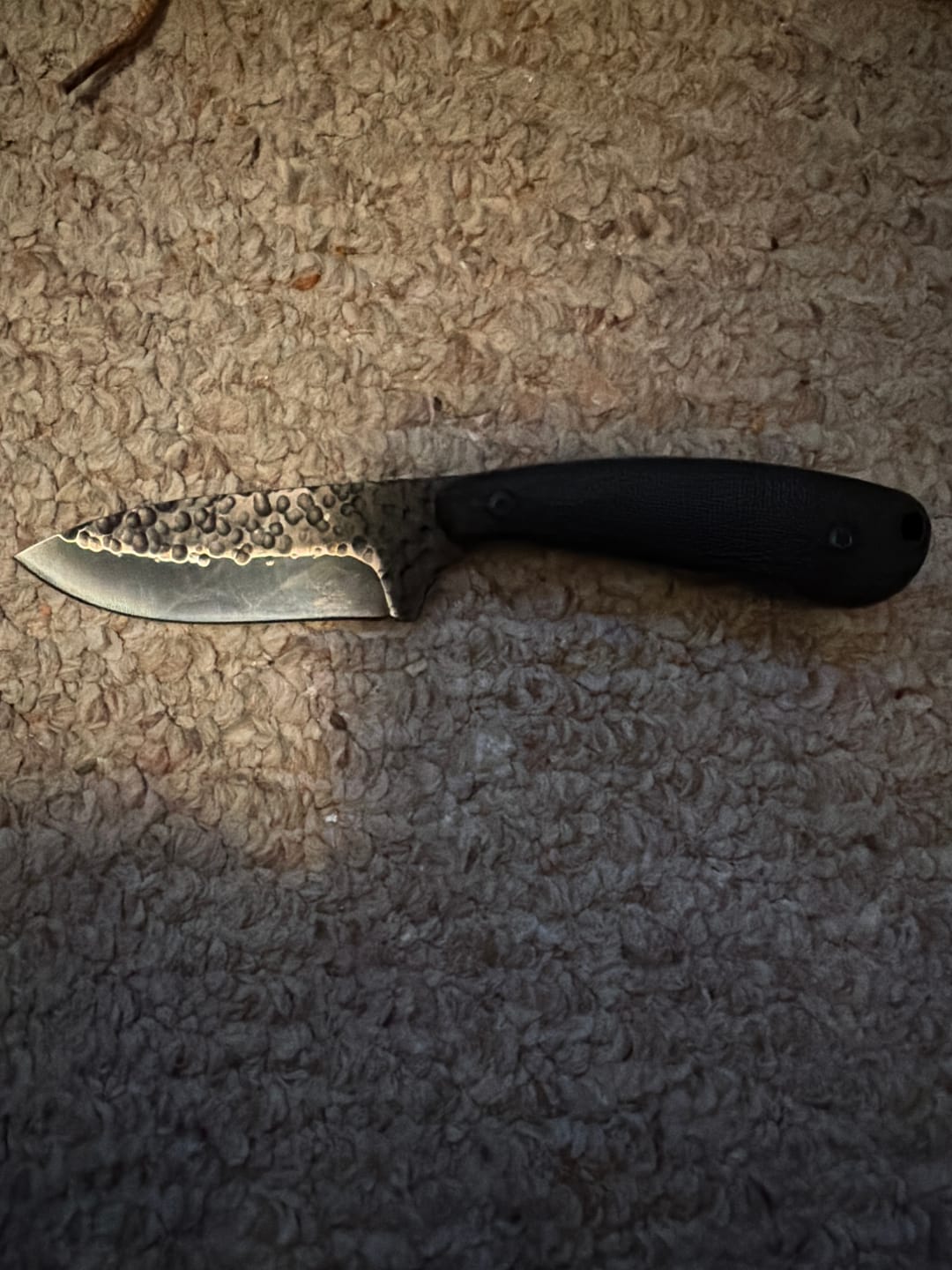 Customer photo review of Scorpion