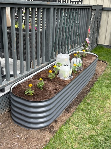 Customer's tall modular garden bed, newly planted with small flowers and seedlings next to a deck.