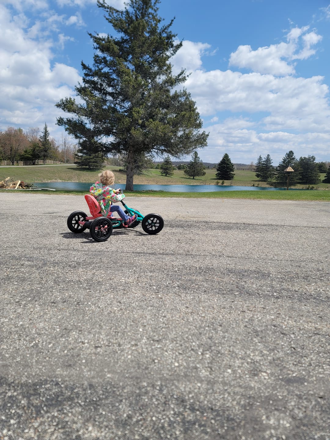 Customer photo review of BERG Buddy