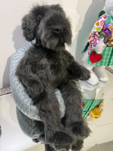 Customer photo review of "Dougie" Airedale Terrier  PDF Pattern  Approx 22cm Seated