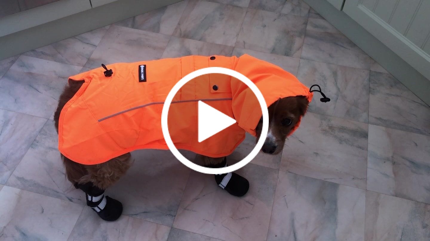 Customer video review of Breatheshield™ Dog Raincoat - Neon Orange
