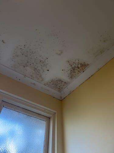 Customer photo review of GLASSGUARD® Glass Stain & Mould Remover Kit