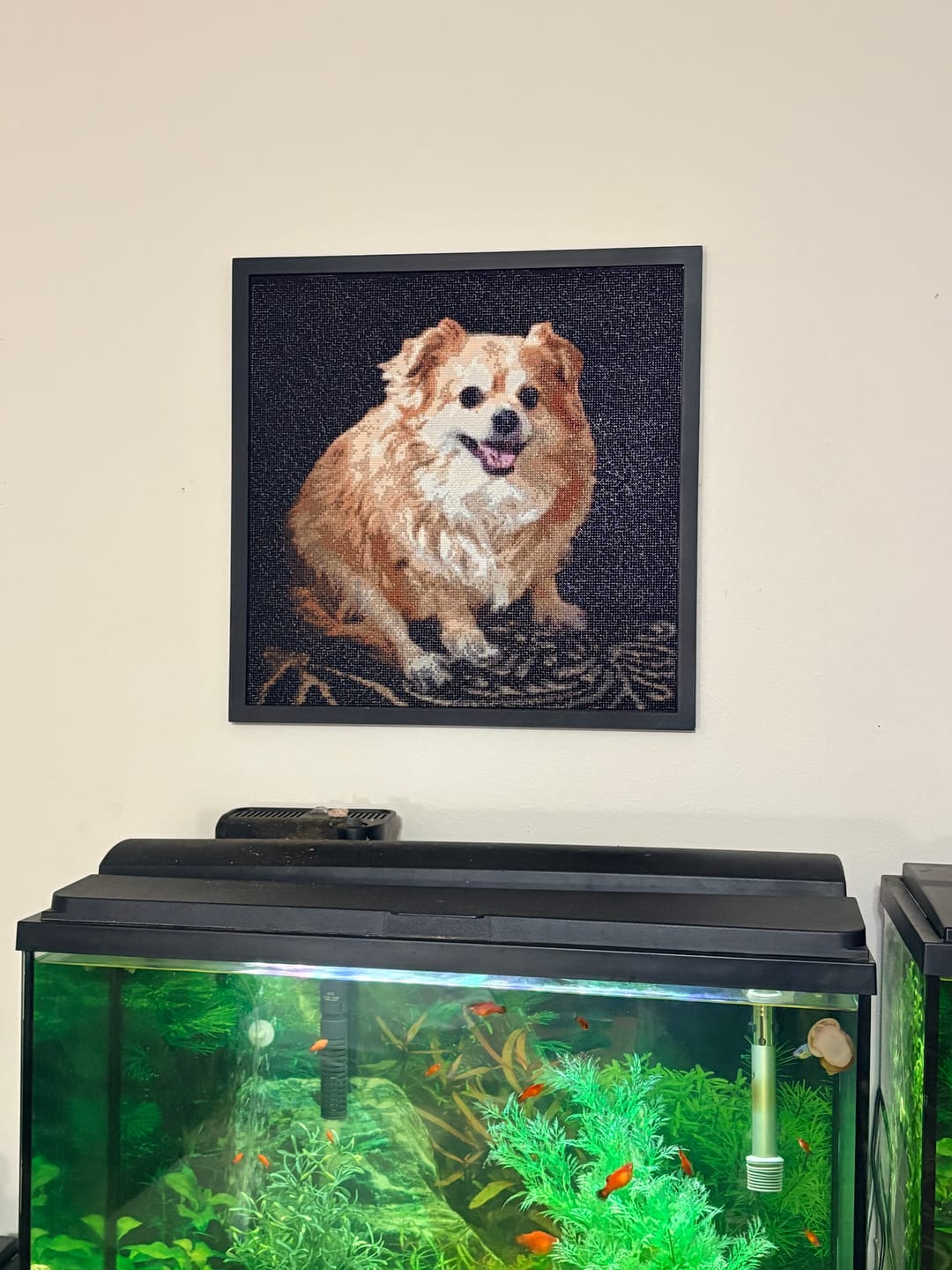 Customer photo review of Worlds Best Customized Diamond Painting Kit