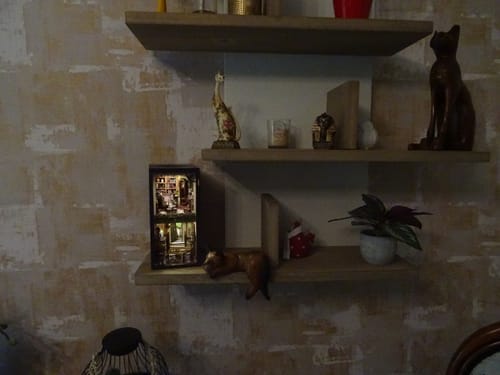 Customer photo review of DIY Book Nook Kit - Rose Detective Agency