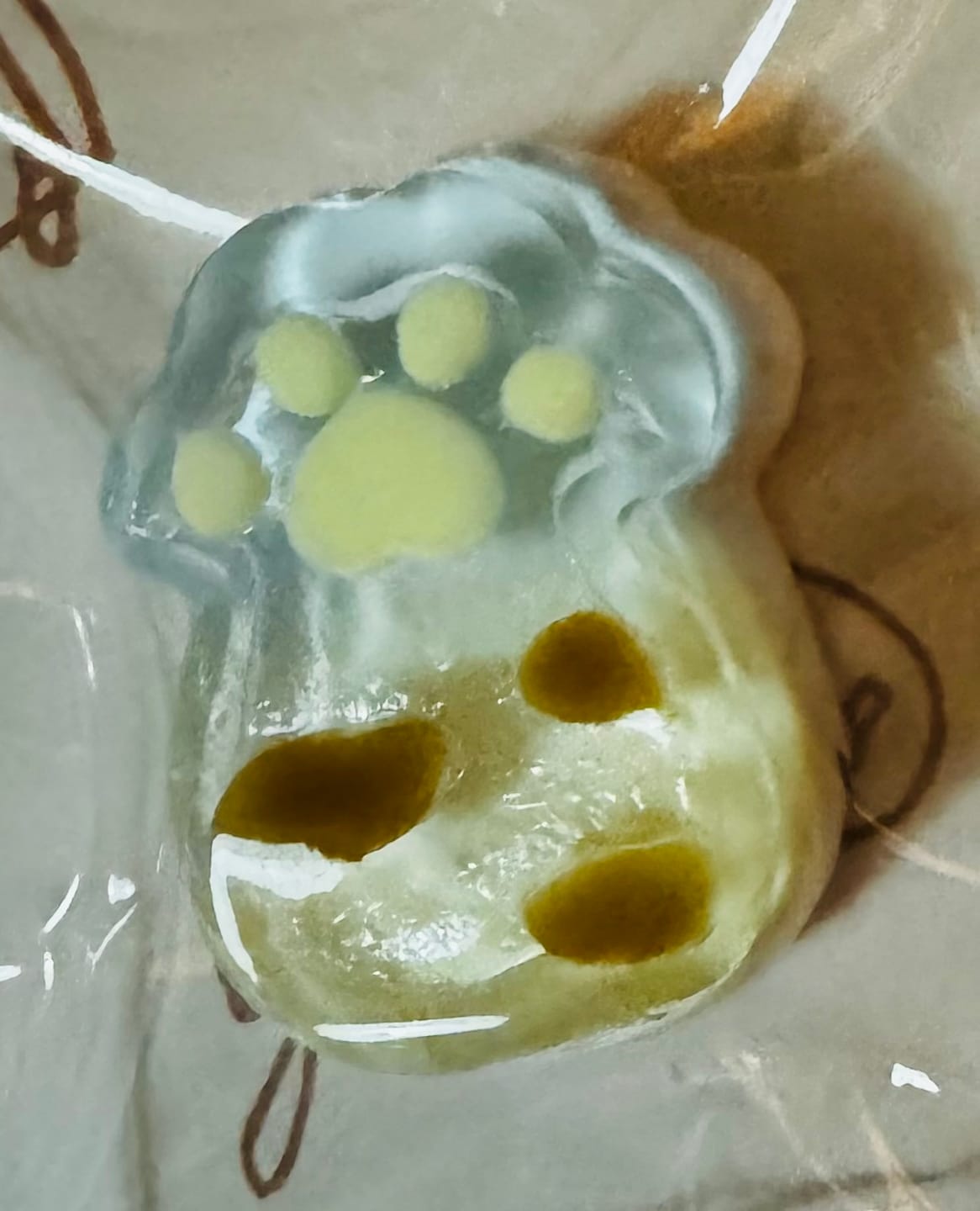 Customer photo review of 「カラフル肉球」ブラインドボックス　配信専用