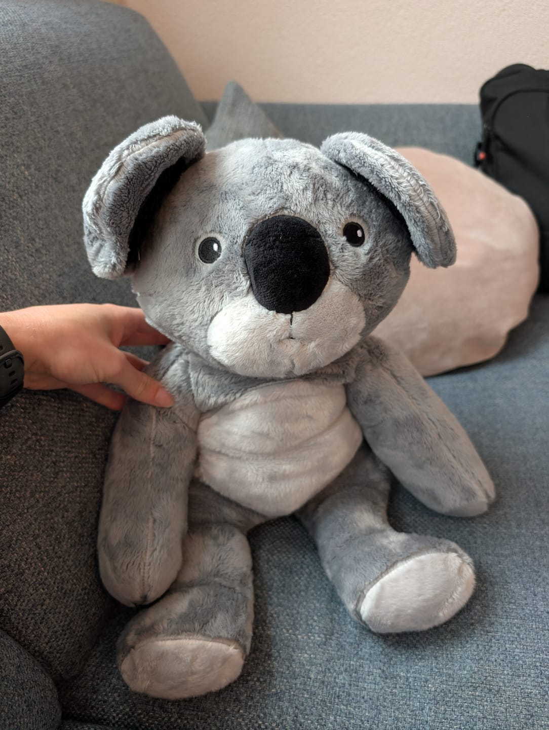 Customer photo review of Lotgenootje Koala 2kg