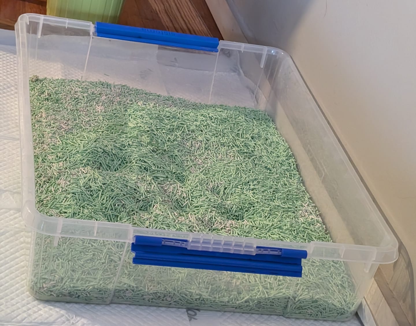 Customer photo review of Michu Tofu Cat Litter Gen3 6L- Dust-Free and Natural Clumping Tofu-Based Formula for Easy Cleanup