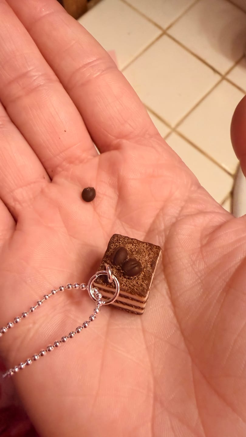 Customer photo review of Tiramisu Cake Necklace - Quarterly Limited Collection