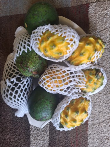 Customer photo review of Yellow Dragon Fruit