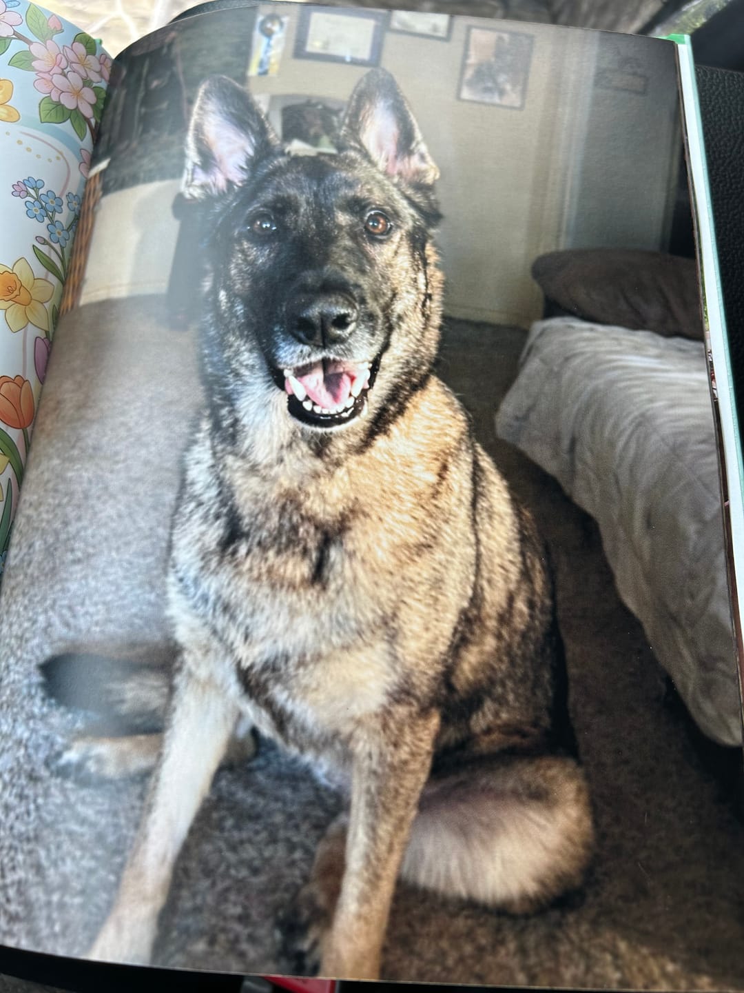 Customer photo review of Cutest Pets of Pupvote Spring 2026