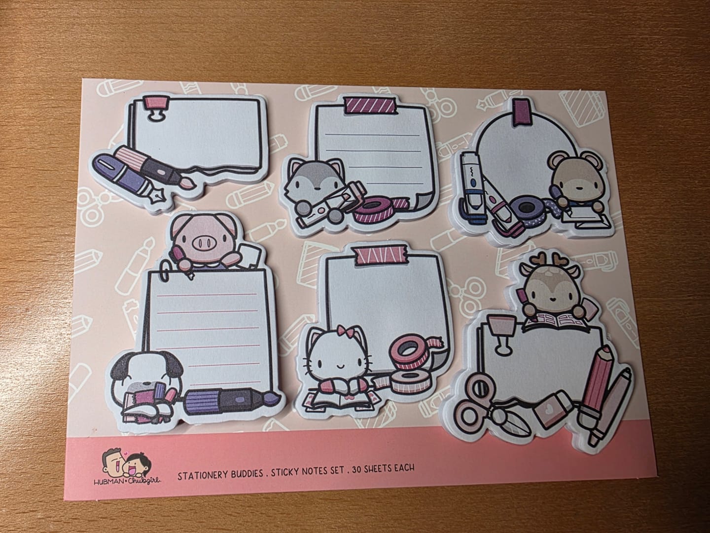 Customer photo review of Stationery Buddies Sticky Notes Set