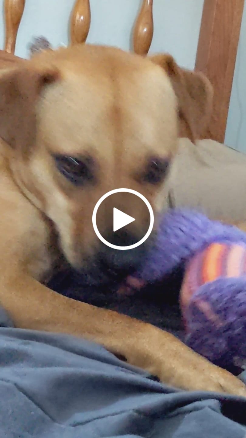 Customer video review of Tucker's Gold 1000MG