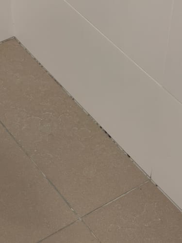 Customer photo review of GLASSGUARD® Miracle Mould Removal Gel