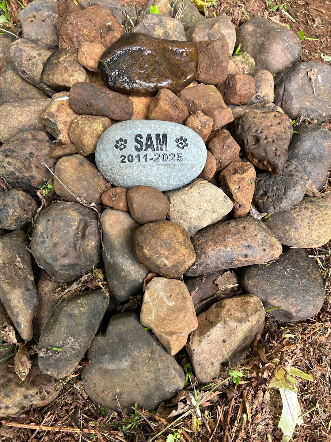Customer photo review of Pet Grave Marker   Custom Engraved Pet Memorial Stone Paw Prints