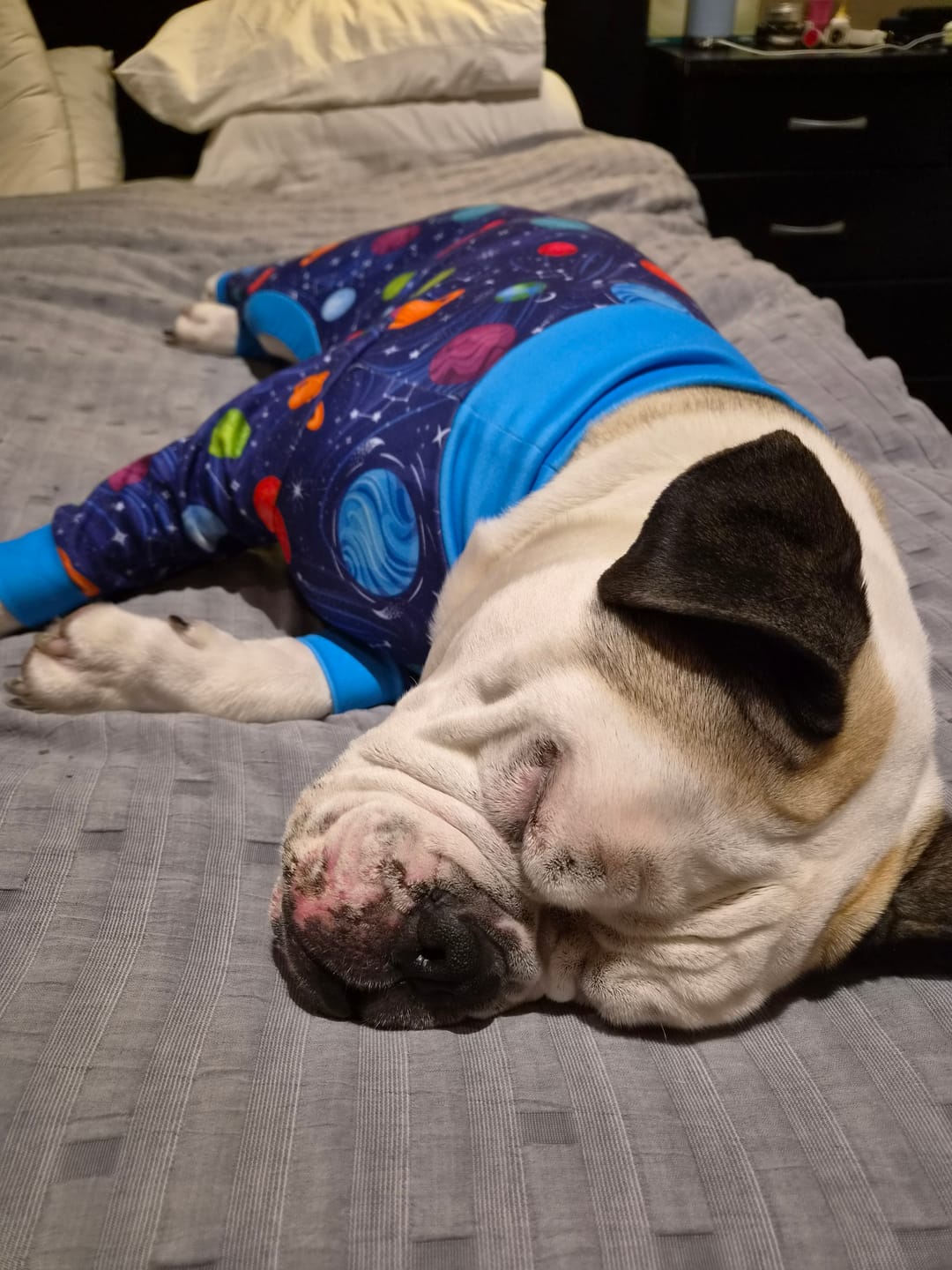 Customer photo review of Dog Pajama - Planets