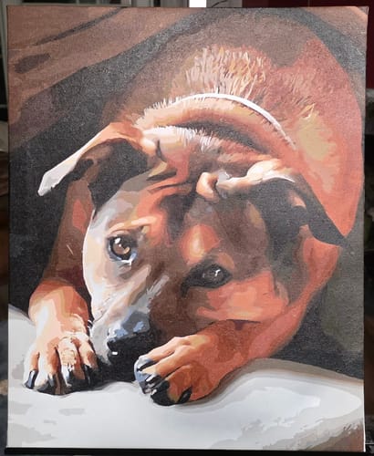 Customer's finished pet portrait from a Custom Paint By Numbers kit, showing a detailed brown dog resting its head.