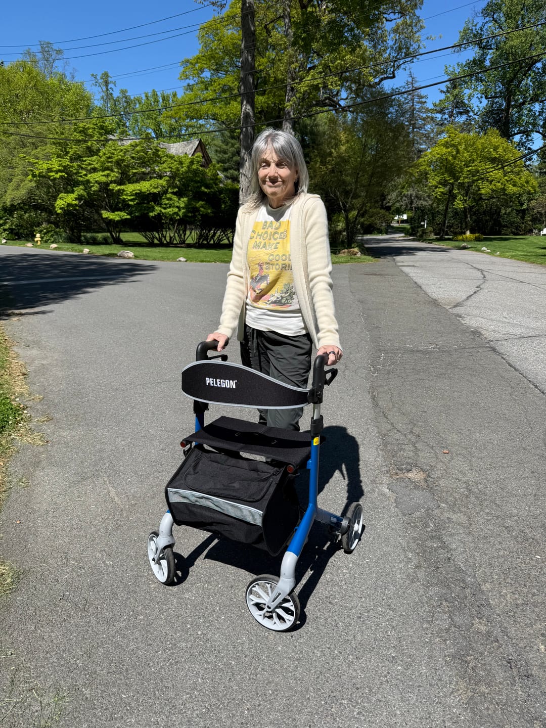 Customer photo review of Pelegon Rollator Walker with Seat