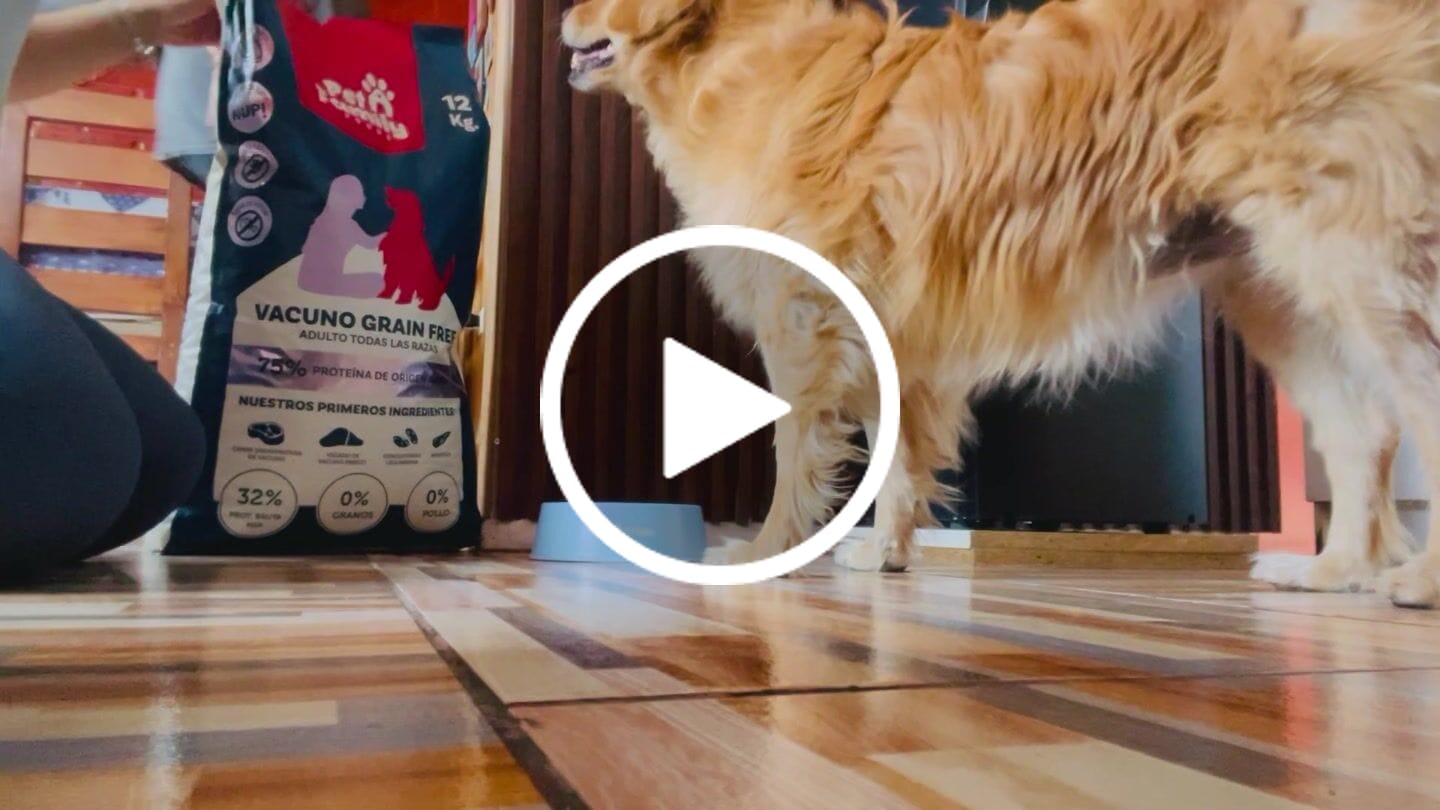 Customer video review of PetFamily Foods Grain Free