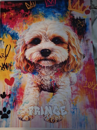 Customer photo review of Personalised Poster With Dog or Cat - Graffiti