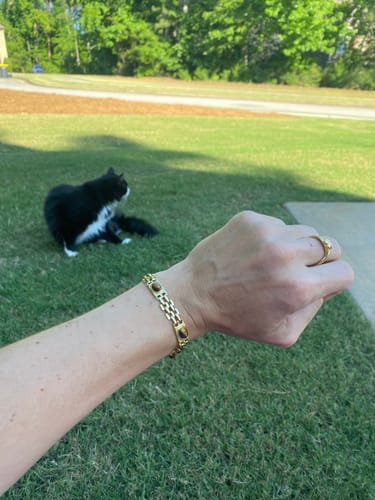 Customer photo review of Tiger's Eye Panther Bracelet
