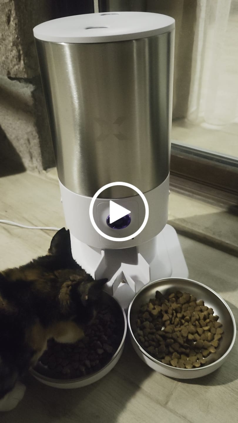 Customer video review of Akıllı Çelik Mama Kabı (Kameralı) & Çift Kase Kiti | Paslanmaz Çelik Hazneli, Mama Bildirimi, 5L, Çelik, Sesli Görüş Destekli Set