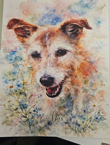 Customer photo review of Personalised Poster With Dog or Cat - Watercolour