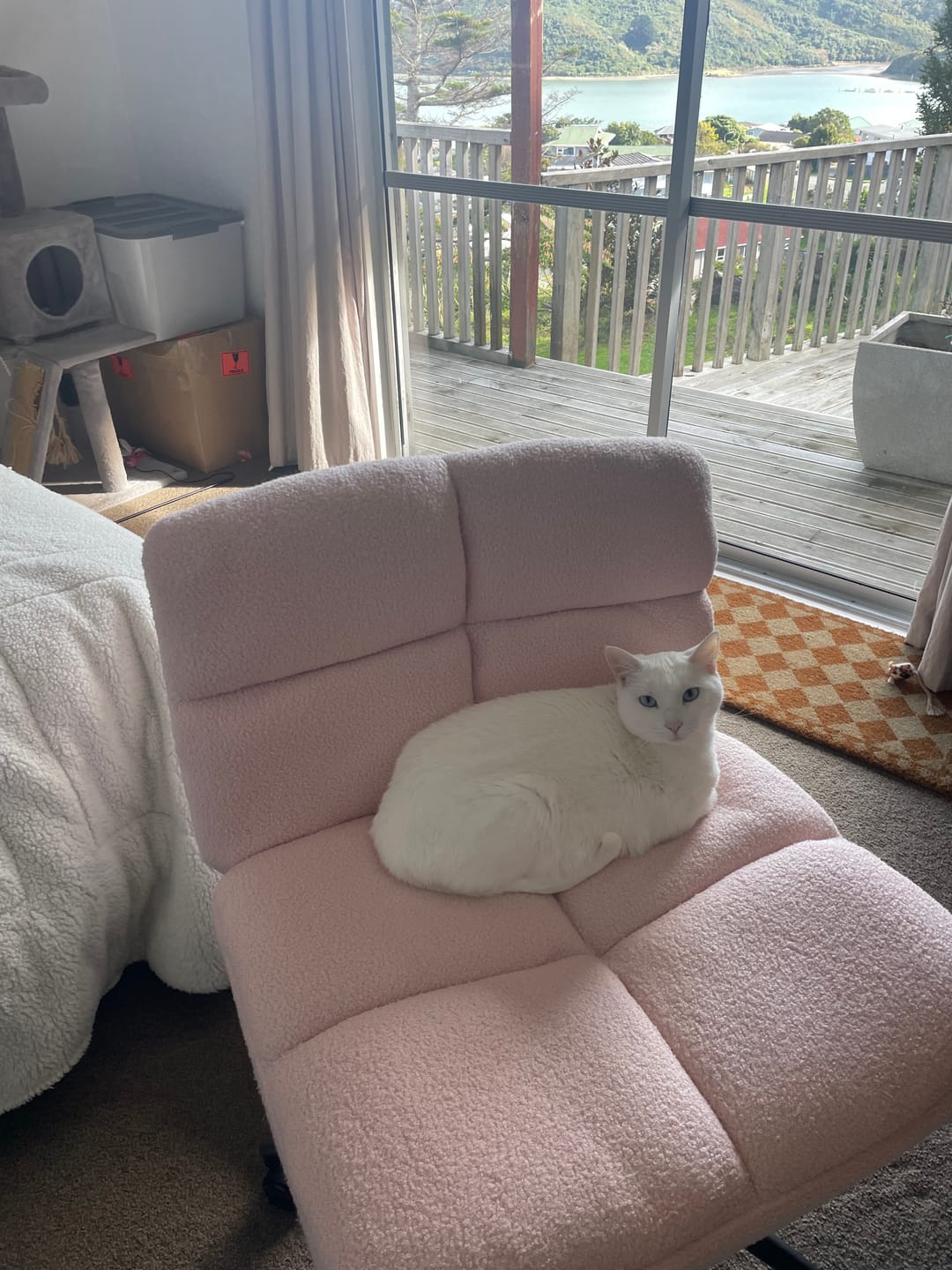 Customer photo review of Emma Cross-Legged Office Chair - Pink