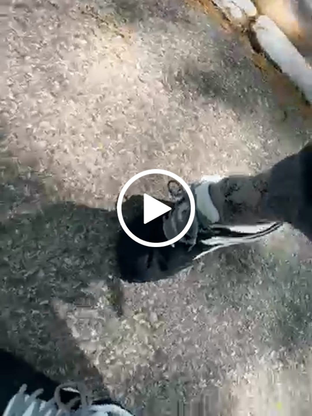 Customer video review of Heather - Wide Toe Sneakers
