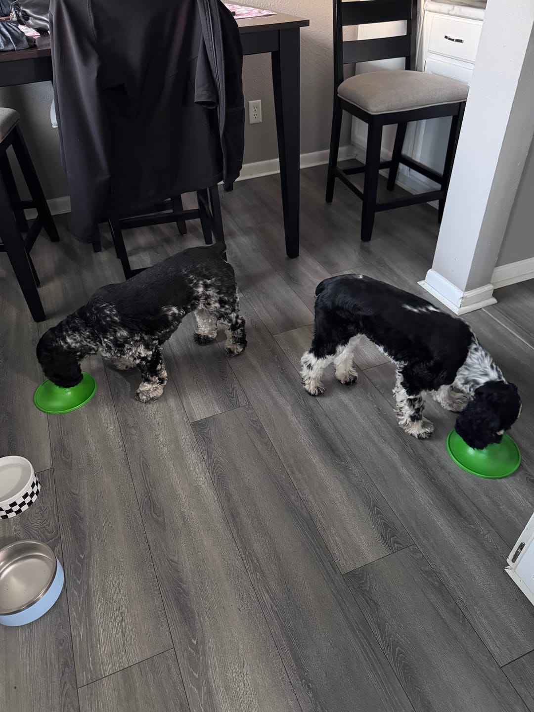 Customer photo review of Soothing Saucer®