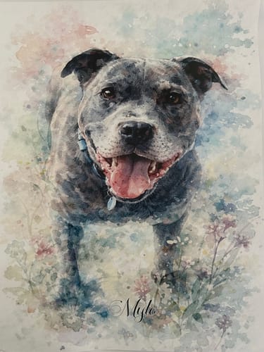 Customer photo review of Personalised Poster With Dog or Cat - Watercolour