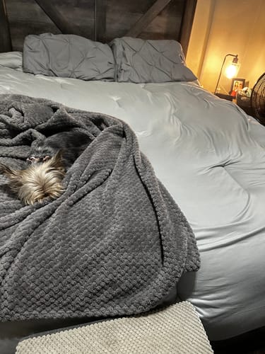 Customer photo review of MarshMellow Comforter
