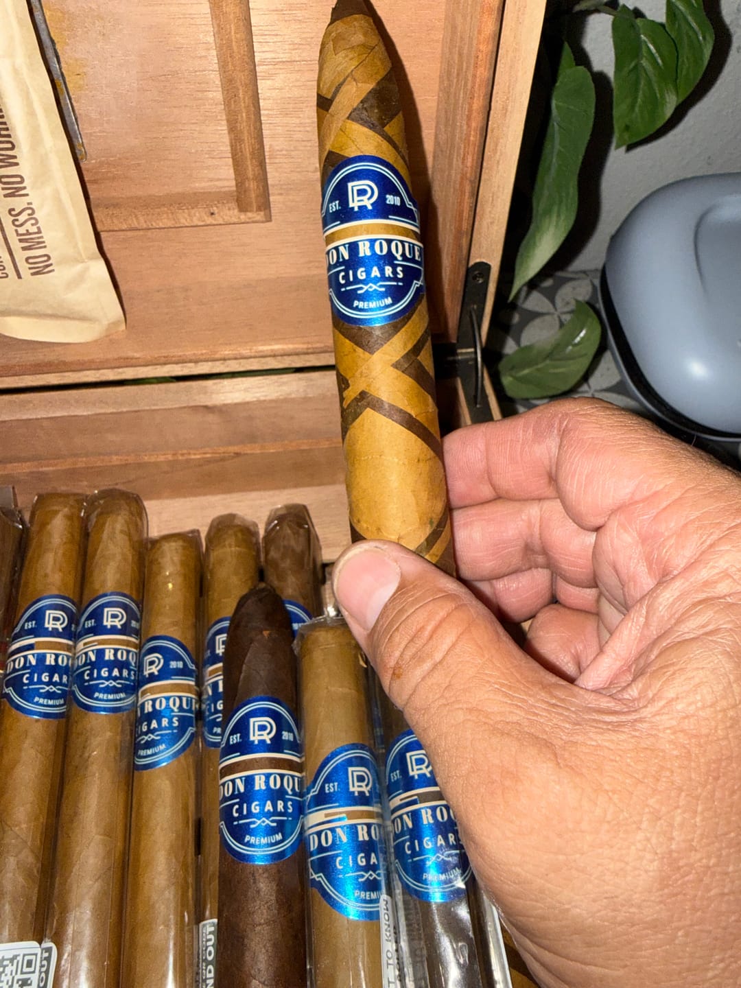 Customer photo review of SUMATRA HIGH NOON DRAGON