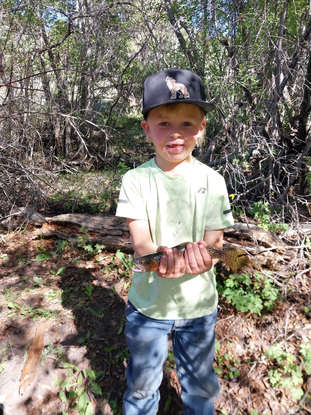 Customer photo review of PRO Coyote Flatty