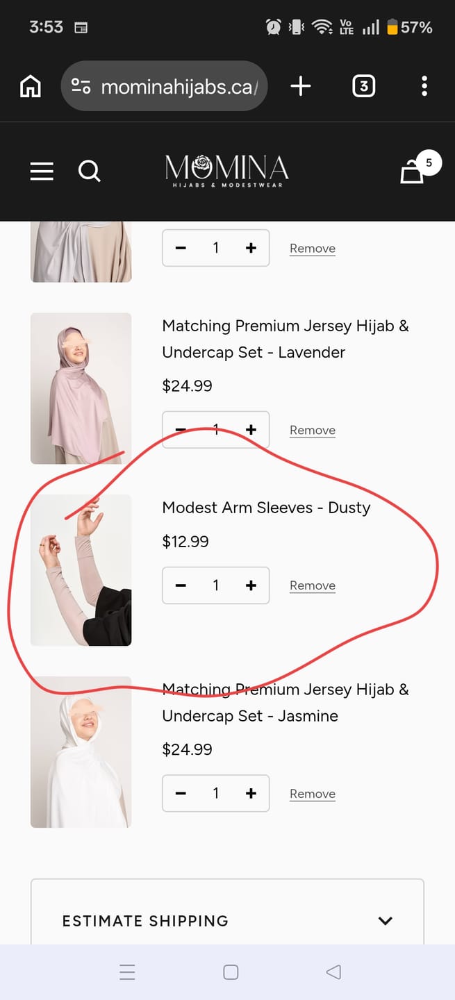 Customer photo review of Modest Arm Sleeves - Dusty
