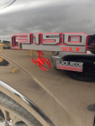 Customer photo review of 2pcs Metal Chrome Spider Badges