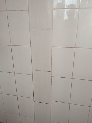 Customer photo review of GLASSGUARD® Miracle Mould Removal Gel