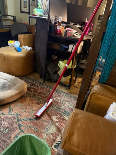 Customer's red IndigoPet Hair Removal Broom resting on a patterned area rug inside a home.