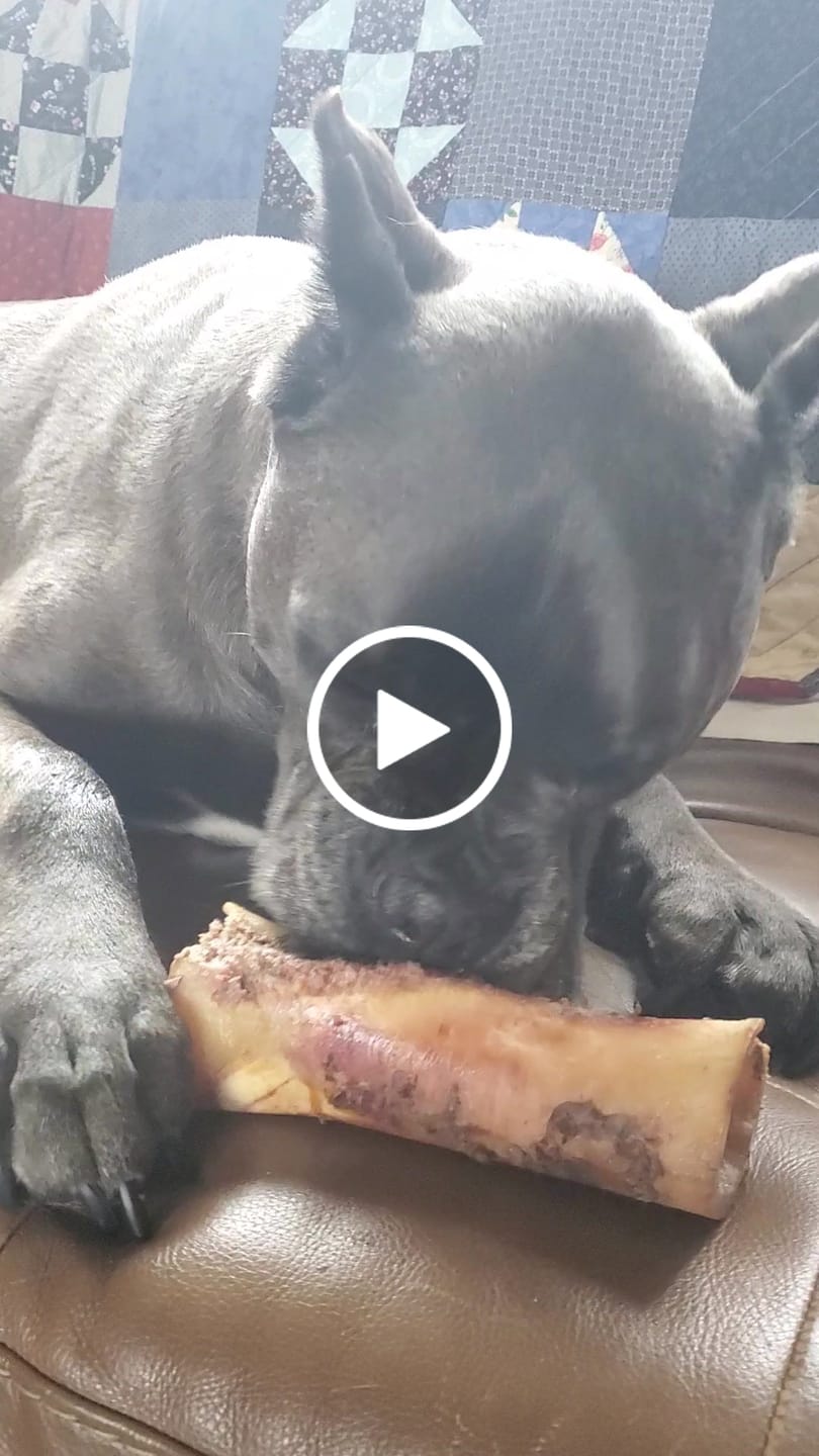 Customer video review of Erik's Mystery Chew or Treat