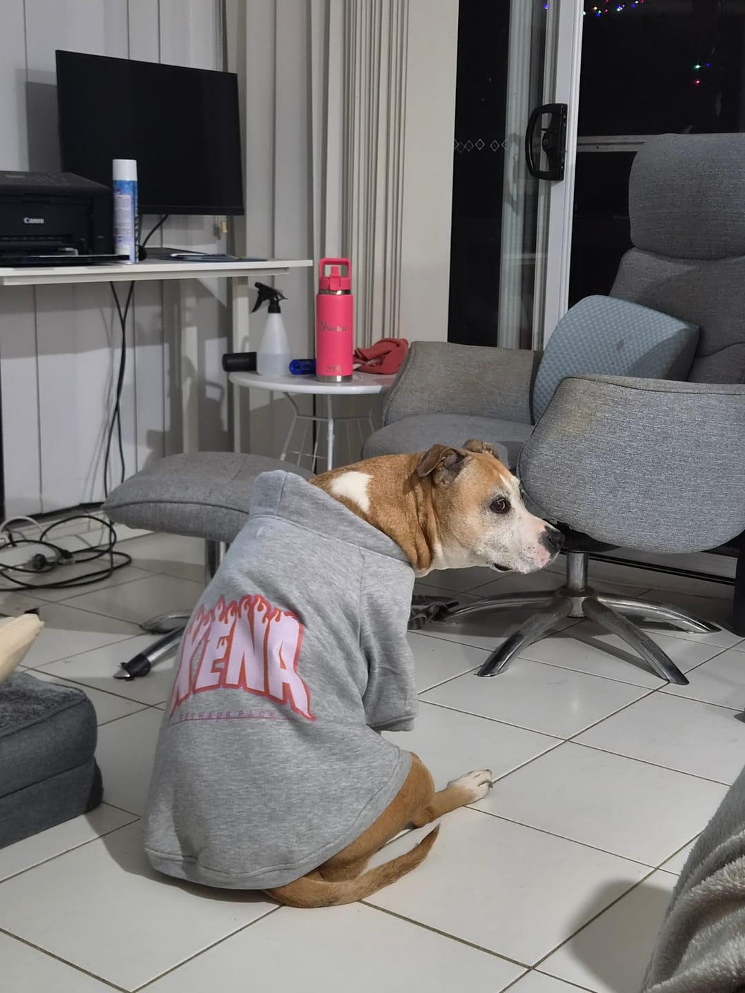 Customer photo review of Personalised Thrasher Font Dog Hoodie 🔥