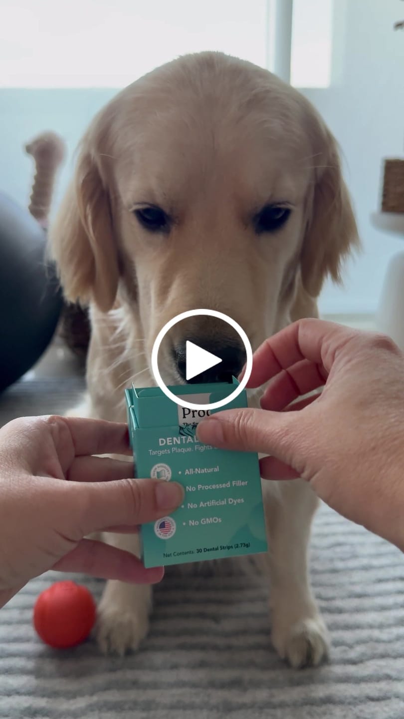 Customer video review of DENTAL STRIPS