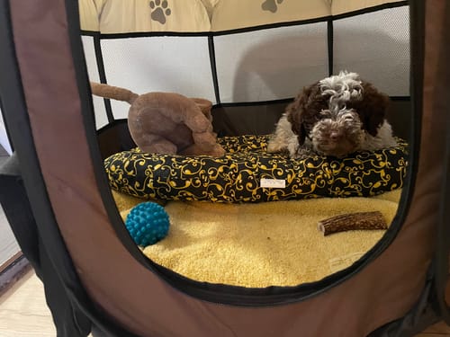 Customer photo review of Hordozható Kutya Kennel és Kisállat járóka