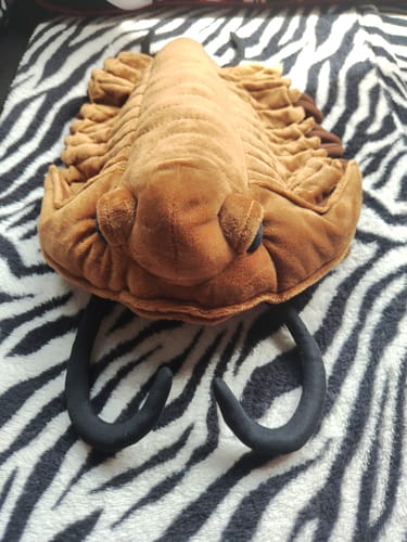 Customer photo review of Redlichiida Trilobite Plush – Realistic and Soft Stuffed Toy for Fossil and Prehistoric Enthusiasts